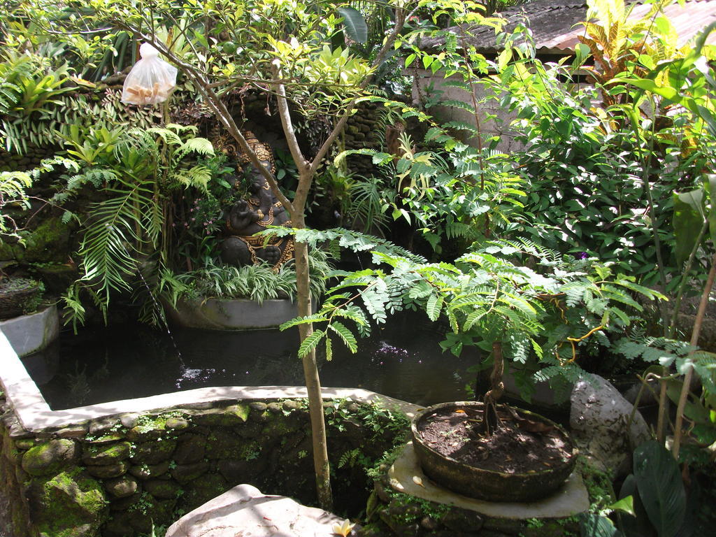 Arsa Homestay & Spa Ubud Exterior foto